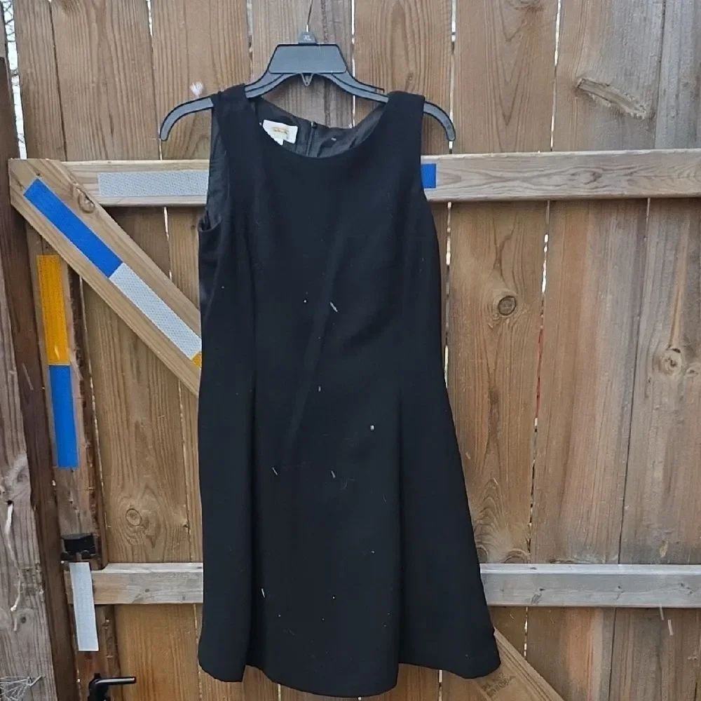 Dress Sz. 6 Petite